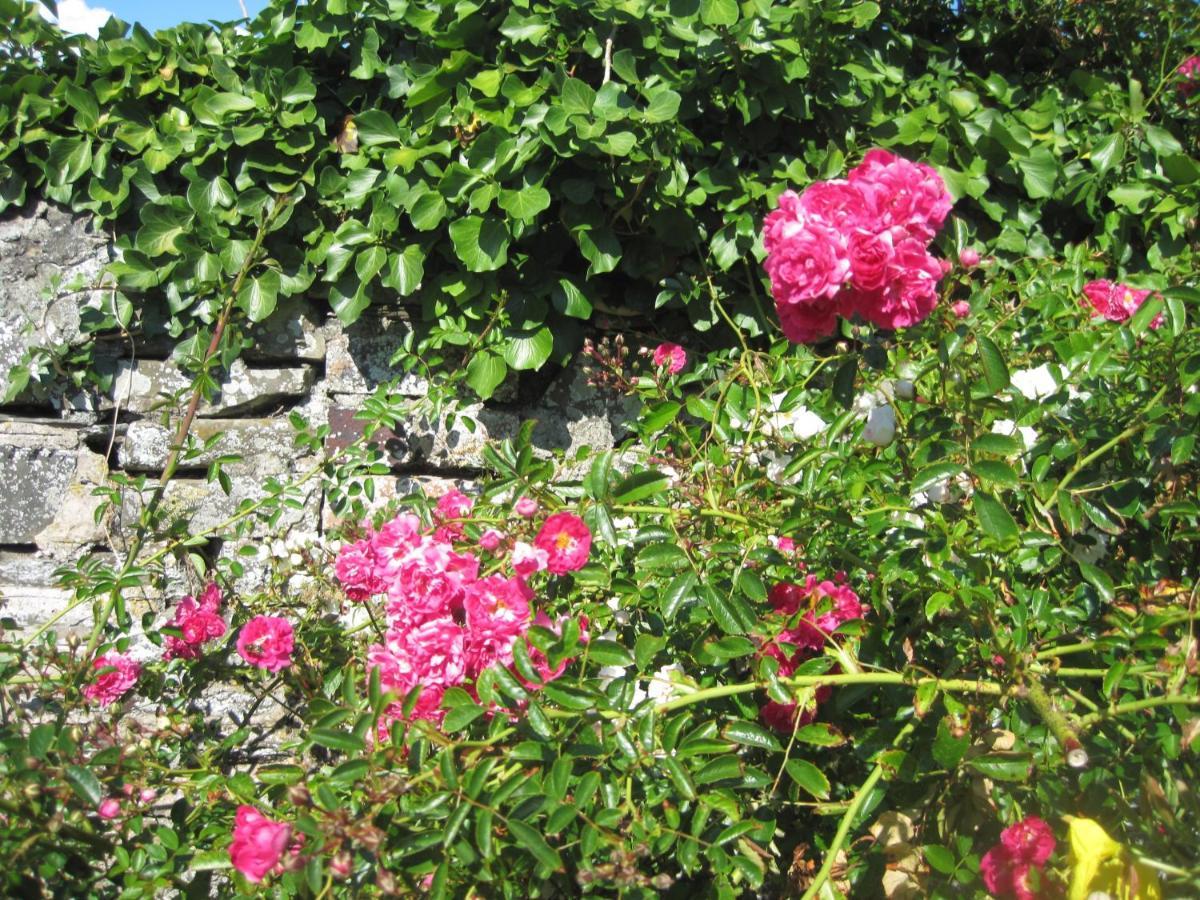 Colebrook Cottage Isle of Whithorn Экстерьер фото